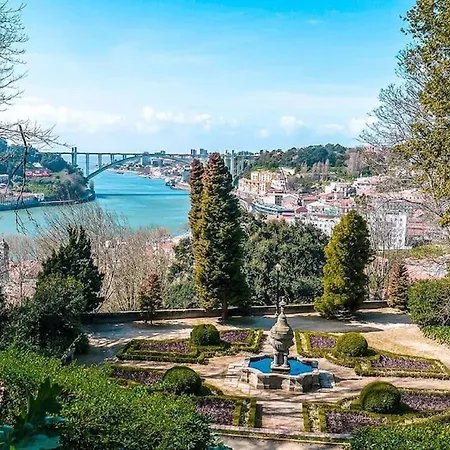 Apartment Ohh- Caligrafia Vintage